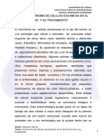 CARCINOMA BOVINOS.pdf