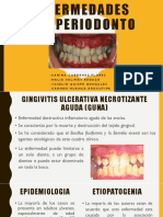 Periodoncia