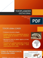 toxoplasmosisgestacional-140725195604-phpapp01