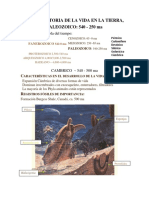 vidatierraPz-vc.pdf