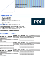 33 Curriculum Vitae Curioso Azul