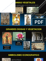 Hierofanias Vegetales