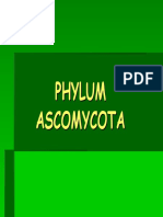 ascomycetes.pdf