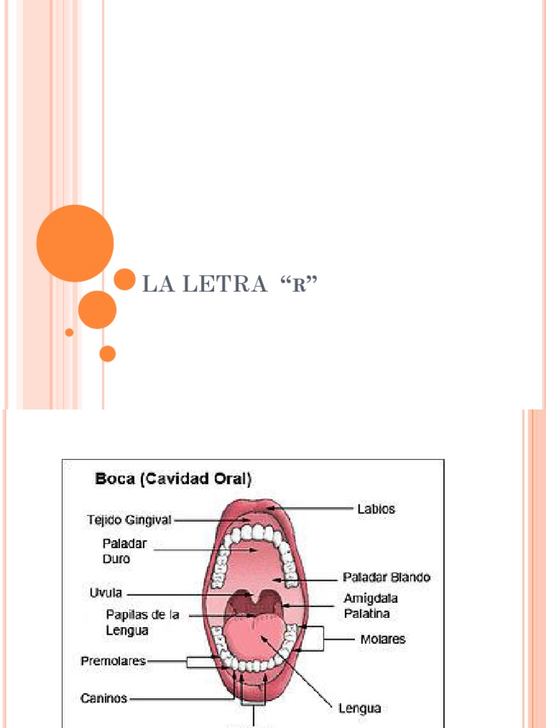 Letras y Palabras con 