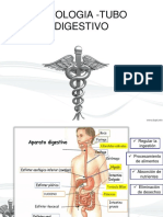 Tubo Digestivo