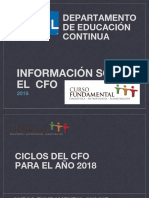 Informacion Sobre El CFO PDF