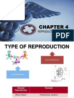 Reproduction & Growth: 4.1 Gamete Formation