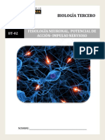 5991-BT-02-18-FisiologÃ A Neuronal - Potencial AcciÃ N e Impulso Nervioso - 7%