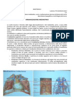 15 - Anatomia II - 06.03.2017