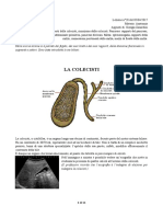 28 - Anatomia II 05-04-2017 R