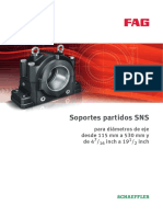 Sns Fag PDF