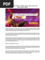 Mengenal Lebih Tentang Kelebihan Ayam Aduan Siam Dan Khasiat Gula Merah