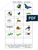 insects-small-animals-write.pdf