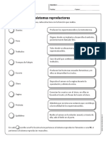 FUNCIONES REPRODUCTOR.pdf