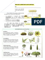 Cómo_se_clasifican_las_plantas.doc