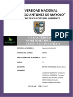 350123580-Informe-D-Cuenca-de-Pativilca.docx