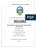 G4-Bigamia (1).docx
