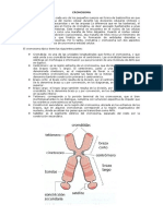 Adn y Cromosoma