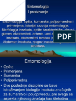 01 - Predavanje Entomologija