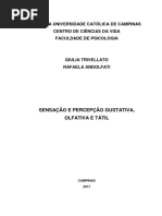 Relatório Fpp a 1