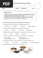 6° AÑO Prueba Ciencias Naturales