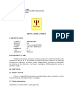 programa neuropsicología del adulto.pdf