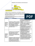 Plan de Acompañamiento A Nivel Individual e Institucional Santa Rosa2018ok