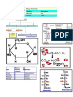Clasificacion de Los Carbohidratos 2