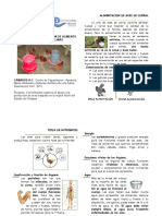 001 Manual Proyecto Productivo Alimento Aves.pdf