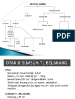 Trauma Spinal