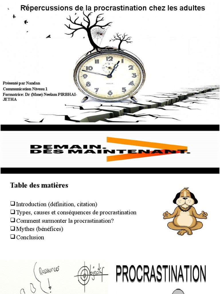 La Procrastination Pdf