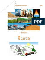 พลังงาน ชีวมวล PDF