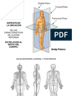 Examen Postural