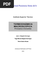 Termodinamica Macroscopica 2010-11-20 PDF