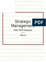 Strategic Management: Red Cliff Analysis