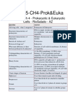 Prokaryotes and Eukaryotes