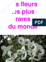 Fleurs uniques au Monde.pdf