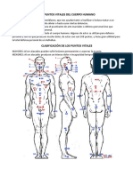 Los Puntos Vitales Del Cuerpo Humano