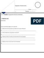 FORMATO EVALUACIONES 2017.docx