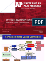 1b. Ontogenia Del SNC PDF