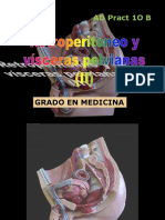 Anatomia Pelviana