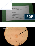 praktikum-parasitologi-1.pdf