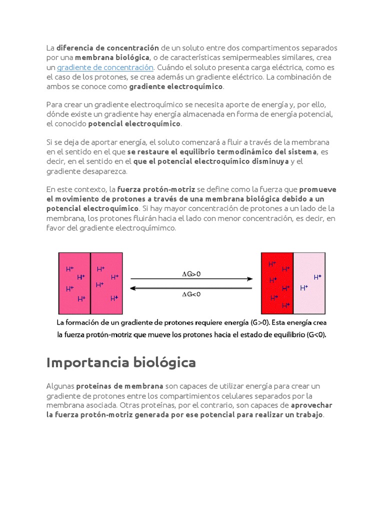 ¿qué Es La Fuerza Protón Motriz Cadena De Transporte De Electrones