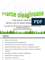 Plante Oleaginoase