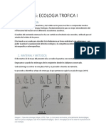 Practica 6 BP