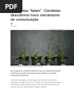 As Plantas