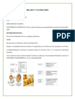 Higado y Vias Biliares