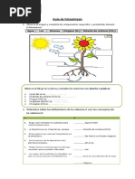 Guia de Fotosintesis 1