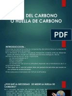 5.Ciclo Del Carbono