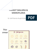 Parasit Malaria & Mikrofilaria